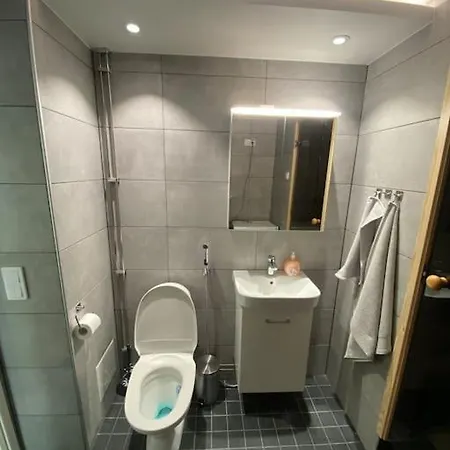 Apartment Meren Laeheisyydessae Iso Yksioe Helsinki